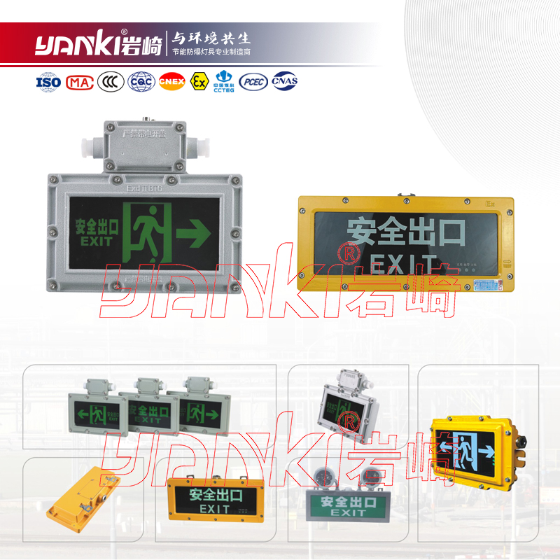 BZD310(BYY)系列防爆標志燈